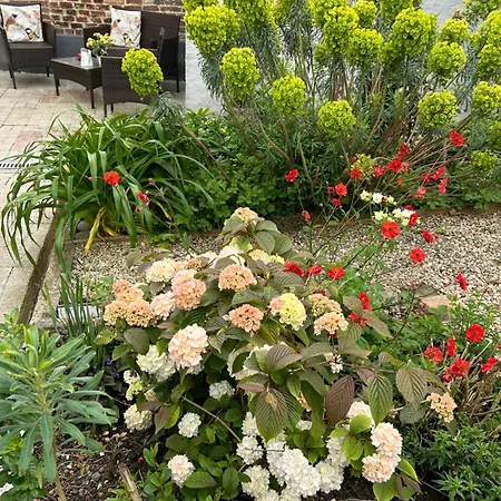 Gite Deux Couchages Avec Jardin Privatif Proche Des Marais Et Foret Lägenhet *