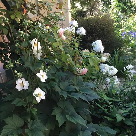 Lägenhet Gite Deux Couchages Avec Jardin Privatif Proche Des Marais Et Foret