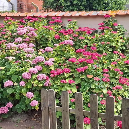 Deux Couchages Avec Jardin Privatif Proche Des Marais Et Foret Appartement Arques (Pas-de-Calais)